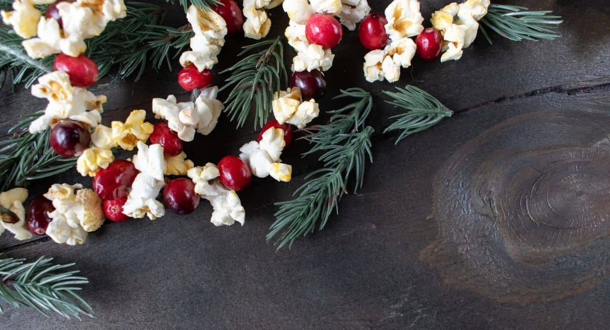 Homemade popcorn and cranberry garland with sprigs of pine lying on a wooden surface