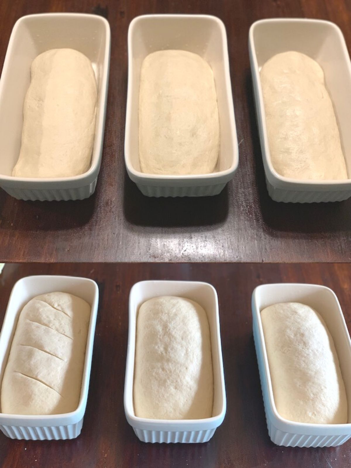 Two photos on top of each other. Photo on top of three shaped bread dough loaves in light blue bread pans ready for their second rise. The second photo shows the loaves after the dough has risen.