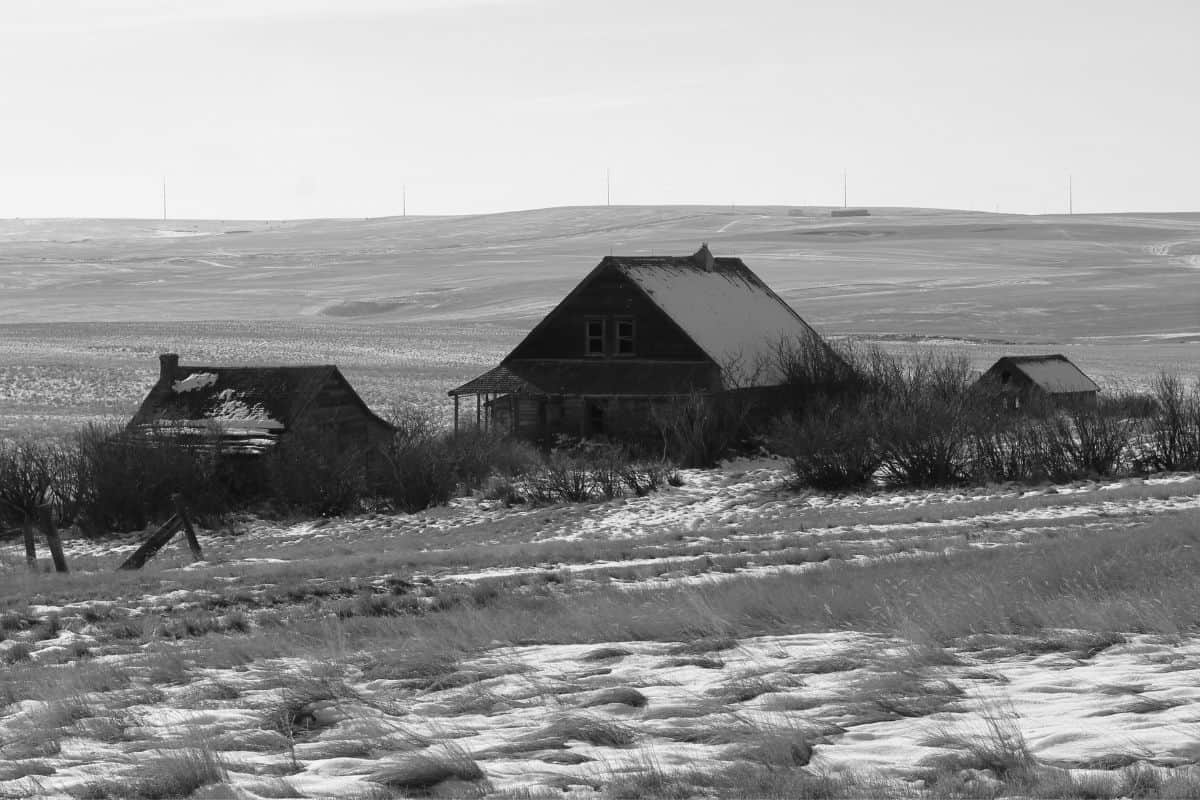 Black and white photo of a large prairie dusted with snow. A house with two outbuildings sit in the middle of the field with bushes in the foreground.