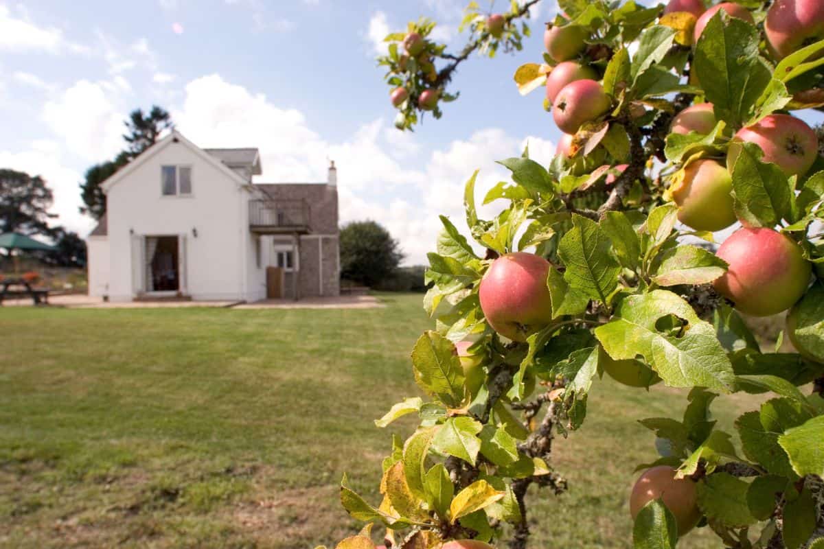 An apple tree is in the right foreground of the photo. In the background is a stone farmhouse with a table on the patio.